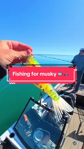We Fished for Big Musky 🐟🎣 #fishing #fishingvideos #capcut 