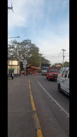 #lomasexotico🍓 #lomasfresa🍓 #furgonesconestilo🛣🚛💨🚨🎶🎶 #solomulasycumbias🤪 #solocontenidotiktok😎 