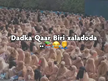Schooley war isii#somalitiktok #viral #foryoupage 