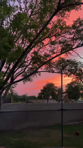 #fypシ #xyzbca #viral #arizona #arizonasunset 