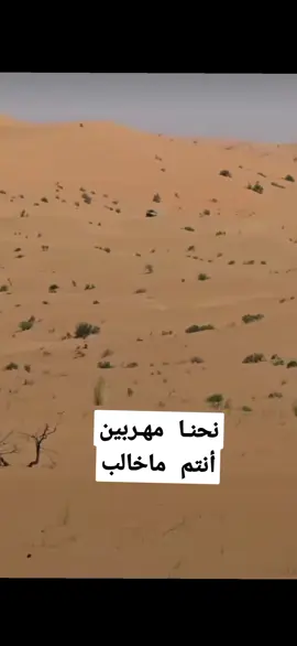 #الصحراء🏜️ #الجزائر🇩🇿 #ليبيا🇱🇾 