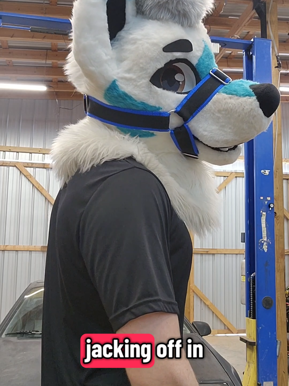 Get Your head outta the gutter, Comment what You thought? #furry #furrytiktok #fursuit #fyp #fursuiter 
