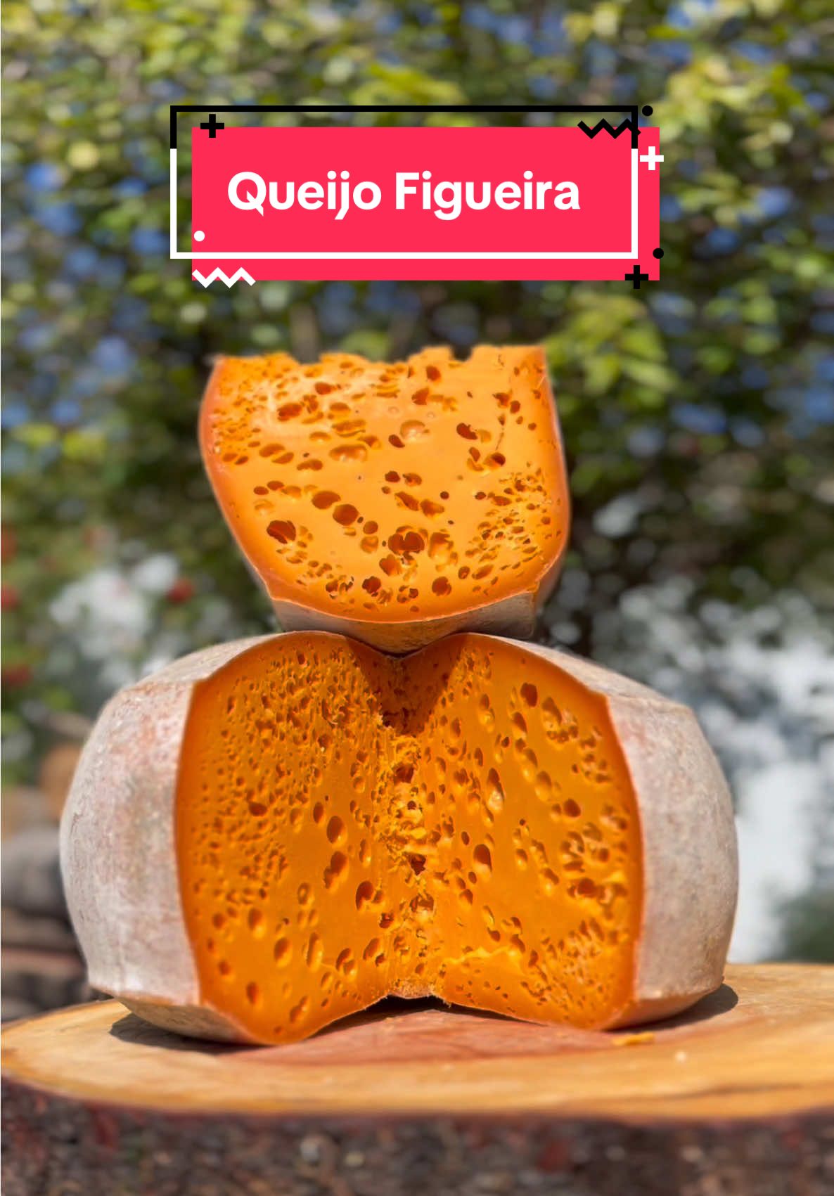 🧀 Queijo Figueira: maturado por 120 dias, tem cor alaranjada vibrante do urucum natural, textura cremosa e sabor levemente adocicado que conquista já na primeira mordida. ✨ 🍐 Vai bem com peras, figos, mel ou geleia de damasco. 🍷 Harmoniza com Chardonnay, Sauvignon Blanc ou cervejas Belgian Tripel e Witbier. 👉 Link na bio! Você provaria essa obra-prima artesanal? 😋👇 #cheese #Foodie #foodporn #cheeselover #artisanalcheese 