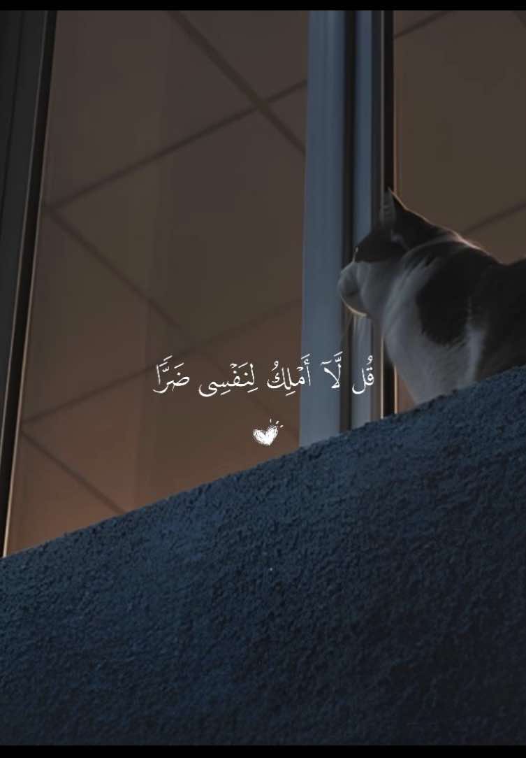 ﴿قُل لا أَملِكُ لِنَفسي ضَرًّا وَلا نَفعًا إِلّا ما شاءَ اللَّهُ ﴾ ❤️. —————————- #عبدالرحمن_مسعد #قل_لا_املك_لنفسي_ضرا_ولا_نفعا #قران_كريم #quran #اجر_لي_ولكم_ولوالدينا_وللمسلمين 