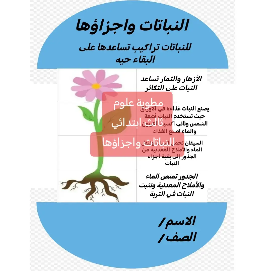 #مطويات_مدرسية #مطوياتي #ثالث_ابتدائي #علوم #مطويات 