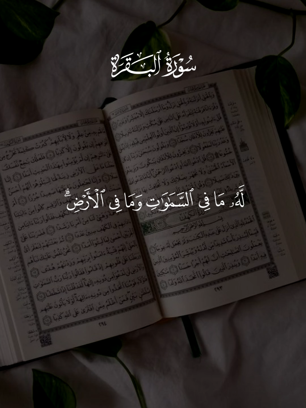 #قران #سعد_الغامدي #quran #اية_الكرسي 