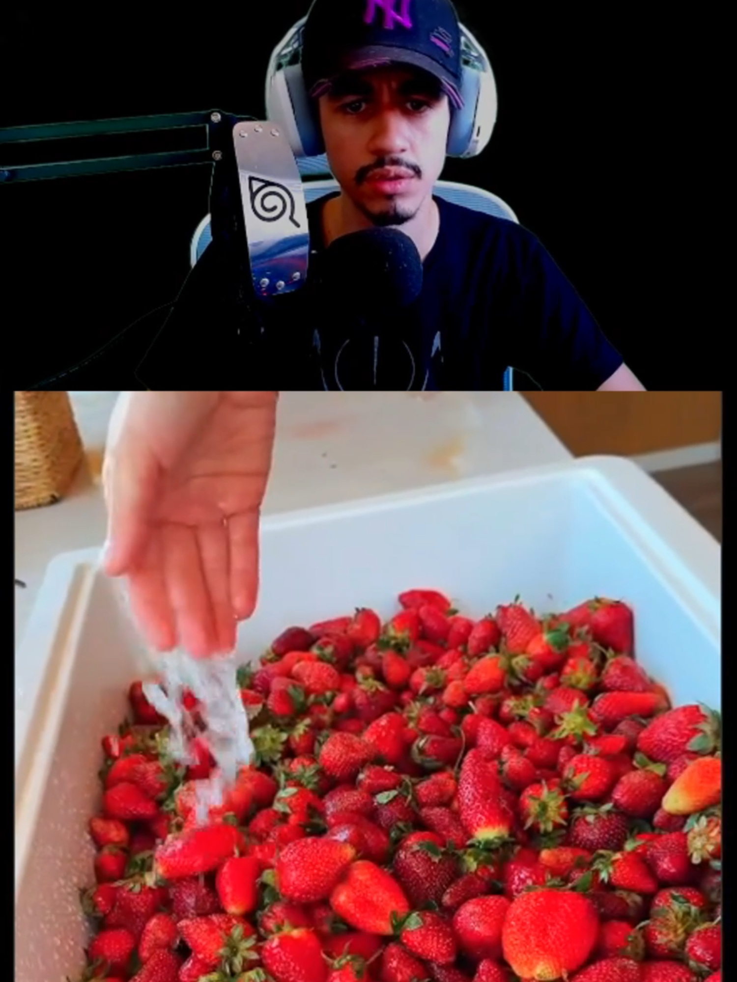PODIA POR MAIS GELEIA