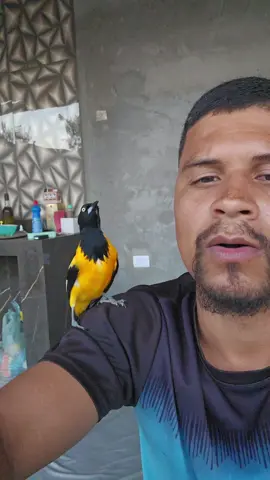 #viral???tiktok #viral???tiktok 