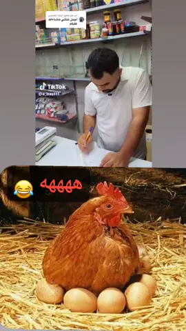 #اكلات_شعبية #شعب_الصيني_ماله_حل😂😂😂 #صدريون_والمقتدى_عشقنا♡🕊️♥️ 