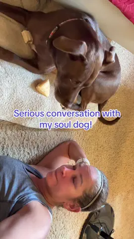 Am I the only one that has serious conversations with their pup? Mocha is my soul dog and she just turned six! My heart can’t handle time going to fast. She became ours when she was 10 months old and she isn’t an easy pup but we adore her! #muttsoftiktok #pitbull #labradorretriever #souldog #FYP 