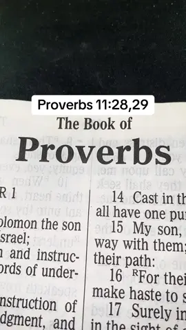 #TheLordJesusChrist #Messiah #GospelKJV #ScriptureReadingFYP #TheSonOfMan 