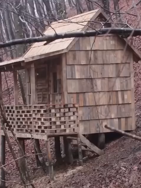 Construindo um acampamento de sobrevivência!! Desafio Extremo na Selva! #construtordejungle #sobrevivência #construçãodesobrevivência #reelsinstagram #shorts #casa #camping #fyp #brasil🇧🇷 #selva #tik#construção#facavocemesmo #santacatarina #tiktokviral #tiktokbrasil #DesafioNaSelva #AventuraNaSelva #ConstruçãoNaSelva #Arborista #TrabalhoExtremo #Natureza #Ação #Coragem #Aventura #VidaAoArLivre #Floresta #CurtaECompartilhe #Comentário #Engajamento #construction #brasil🇧🇷 #selva #tik #facavocemesmo #santacatarina #tiktokviral#santacatarinabr #tiktokbrasiloficial🇧🇷 #construção #tik_tok #facavocemesmo #tik #tiktokviral #santacatarina #brasil🇧🇷 #selva #santacatarinabrasil #tiktokbrasil