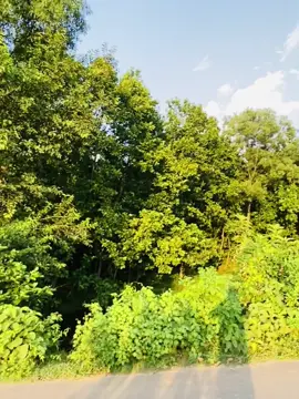- view 😩🥀🫶  #100kviews #foryou #vairal #gazipur_bangladesh #100kviews 