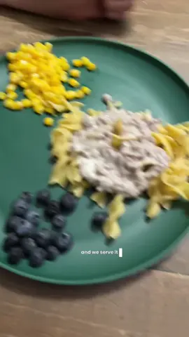 weeknight dinner win 🙌 My kids call it dog food but it’s creamy, cozy, budget-friendly comfort food you can throw together in minutes. Perfect for busy moms, family dinners, and anyone needing a cheap, filling meal. Recipe: 1 lb ground beef Egg noodles Season beef to taste 1 can cream of mushroom soup Splash of milk 4 oz sour cream (stir in off heat) Serve over noodles This is one of those easy, weeknight meals you can make with pantry staples you already have on hand. Dinner on the table in under 30 minutes! Save this if you need family-friendly meals, cozy comfort food recipes, or a budget-friendly way to feed a crowd. Keywords: easy dinner recipes, weeknight meals, ground beef recipes, pantry staples, quick comfort food, stroganoff recipe, budget-friendly meals, 30 minute dinner, family dinner ideas, creamy pasta recipe, affordable meals for families. #EasyDinnerRecipes #WeeknightMeals #GroundBeefRecipes #BudgetFriendlyMeals #CozyComfortFood @Kinders @foodsaverbrand 