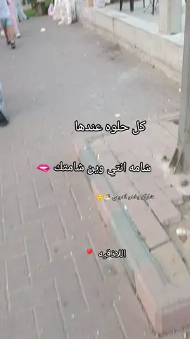 #اللاذقية #وين #شامتك #شاركو #بنا🌝🪭ت 