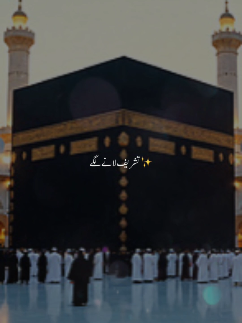 #CapCut جشن عید میلاد النبی مبارک #trending #viralvideo #foryou #