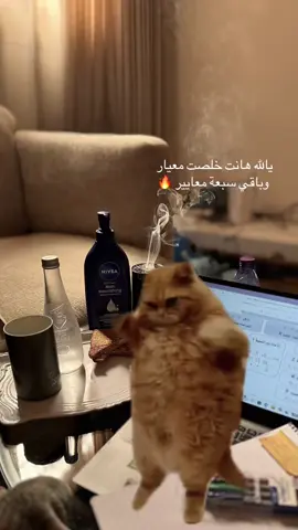 ننظر للجانب الايجابي🌱☁️  #الرخصة_المهنية  #التعليم #السعودية #اكسبلور #explore 