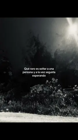 Anuel AA #fyp #anuelaa #rhlm #eldiosdeltrap👹 #brrr 