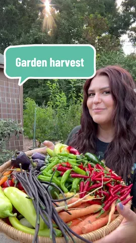 Growcery haul 🧺  #gardenharvest #gardentok #backyardgarden #harvesting #gardening 