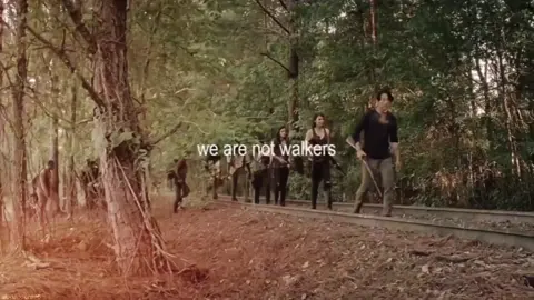 #thewalkingdead || ok what do i post after going viral. || #fyp #goviral #zyxcba #alonsostreet scp: fayescenes /@fayetwd 