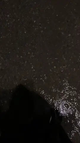 ‏و شوقُ المُشتَاقِ شَاق  ، اربيل مجدي مول  ،