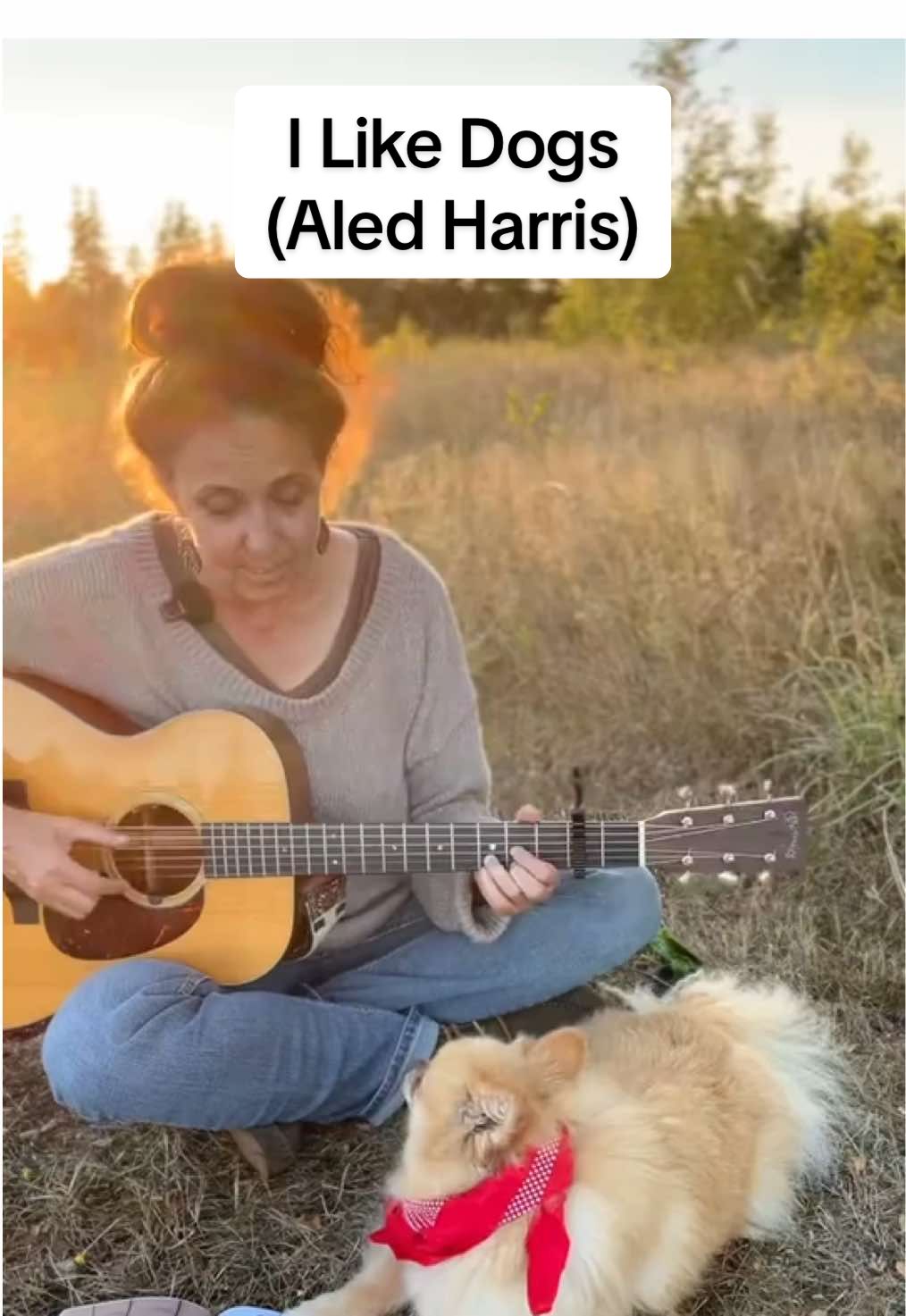 This poem is called “I Like Dogs” by Aled Harris. He has a brand new book of poetry on Amazon called “Poem Boy: Simple Poems To Make You Smile”.  I’ve been following him for a long time. His approach to poetry is similar to how I approach music: a bit silly, a bit sentimental. Lots of kindness to animals and respect for nature. Poems to ponder.  I chose to sing this poem so I adjusted words a bit (sorry Aled!) and the melody that popped out spontaneously sounds like the old song “Ha Ha Thisaway”. 