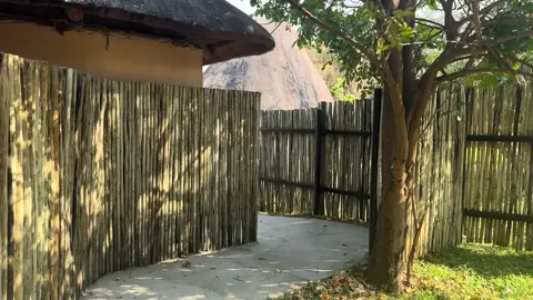 I’m loving my spacious suite at the #royalzambezilodge in #lowerzambezinationalpark #safari #africansafari #zambia 