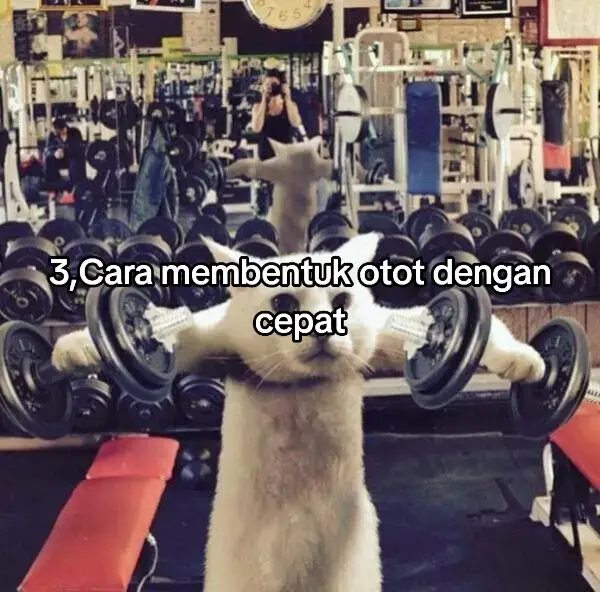 3Cara membentuk otot dengan cepat #fyp#fyp #fypviralシ  #motivation#katakatamotivasi
