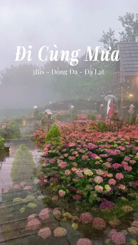 Sương khói tại quán cà phê Đi Cùng Mưa ở Đà Lạt, khung cảnh thật thơ mộng 🥰🥰 📍 Đi Cùng Mưa ( 3Bis - Đống Đa - Đà Lạt ) #dalatreviewtravel #latnoitravel #dicungmua 