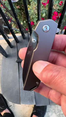 #KnifeCollectors will love this assisted #EDCKnife with #ExtraBlades that swaps easy using the included #Screwdriver making it a true #CollectorsItem