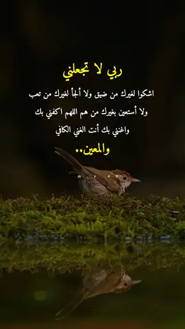 #ربي_لاتجعلني_اشكوا_لغيرك#ادعية_اسلامية_تريح_القلب #اقتباسات_عبارات_خواطر🖤🦋❤️ #اعادة_النشر🔃 