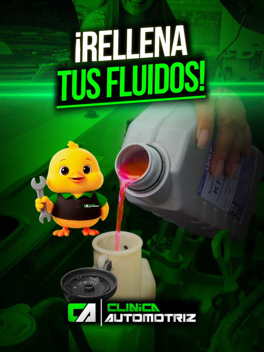 🔧Hoy en mecánica para Noobs 🚗🐥 Aprende a revisar 3 fluidos esenciales y evita problemas 🛑 #TipsMecánicos #mecánicaFácil #Fluidos #Refrigerante #LíquidoDeFrenos #ClínicaAutomotriz