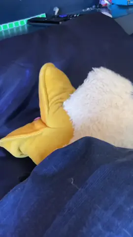 Seems Puppet Donald found a very comfortable sleeping position 😅 #theamazingworldofgumball #sleep #woah #uh #sillyfun 