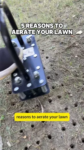 Dudes, this soil aerator is a must-have!#LawnCare #soillooseness #GardenTools #lawnaeration #Rifpod 