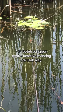 Wes meh tak seblak malah ra sido 🎣  @Hendri Setiawan #mancing #mancingikan #mancingikannila #orca #orcaprime 