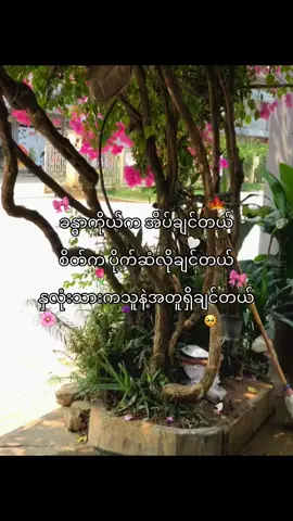 #စိတ်ကအဲ့လို🥺😔 #ဆယ်လီမှအသဲပေးတာလား😔😑 #fyppppppppppppppppppppppp😭😭😭😭😭😭😭😭😭😭😭 
