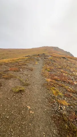 Almost to the top #Hiking #alaska #adventure