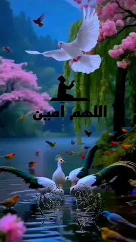 #صباحكم_معطر_بذكر_الله💚🌹🌿🌷😍🌸🙏 #صباحكم_أحلى_صباح🌹🌹 #صباح_الخير #🤲🤲🕋🕋🤲🤲 
