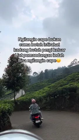 #fyp #xcyzba #telagasaatpuncak #healing  🌲