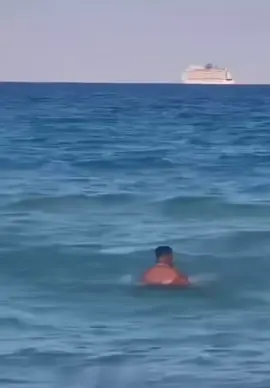 don't mess with Jaws #jaws #beach #shark #ai #tomvamp 