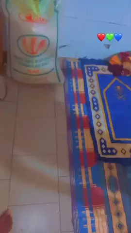 aujourd'hui un yetté bah🐀🐀🐀#cool  nous a attaquer regarder comment on a séparé en plein 00h 1🙉🤣😂