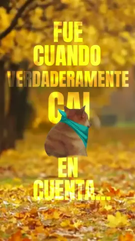 Me valía…#latam #humor #cheems #meme #internet 