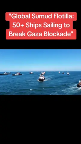 #creatorsearchinsights #FreePalestine #SailToGaza #globalsumudflotilla 
