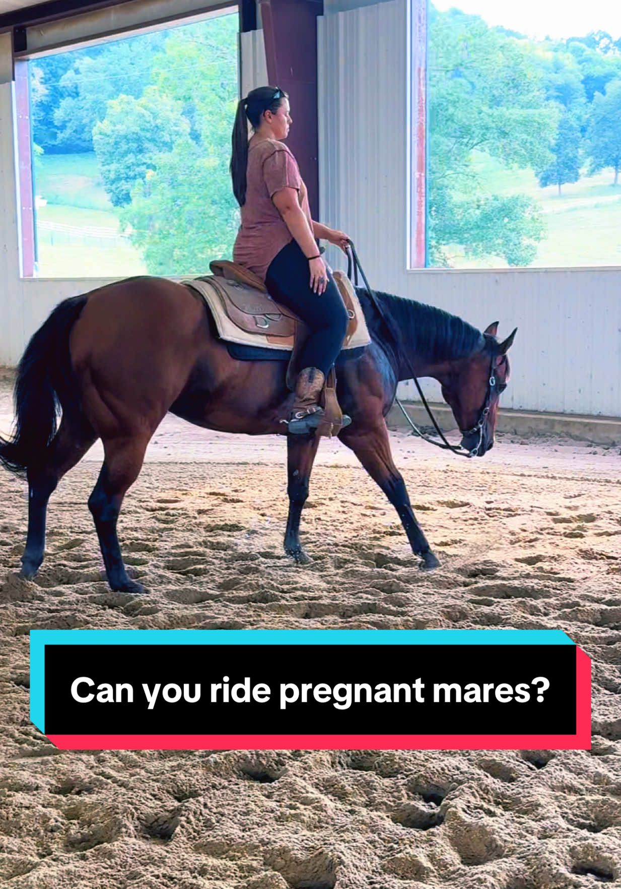 Replying to @christinabrown022 Can you ride pregnant mares?🐴💕 #broodmare #maresoftiktok #westernpleasure #lope 