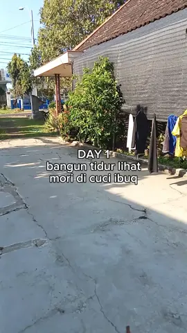 Tidak bisa berkata kata #CapCut #fyp #xybca #pshtpusatmadiun #pshtbanyuwangi 