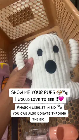shopping for our MARCIE. She definitely hit the jackpot with me being her mommy !! We love yall and we appreciate all of you. 🩷🐾 #dumped #dogsoftiktok #viral #dogs #fyp 