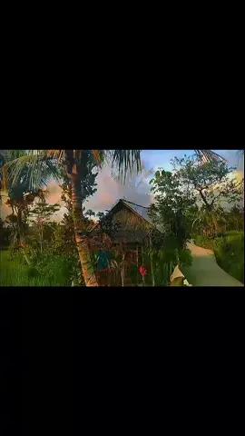Sinematik perdesaan #sawah #sinematik #fyp #vibes2020 