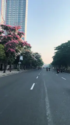surabaya sedang cantik cantiknya🌸 #surabaya #tabebuya 