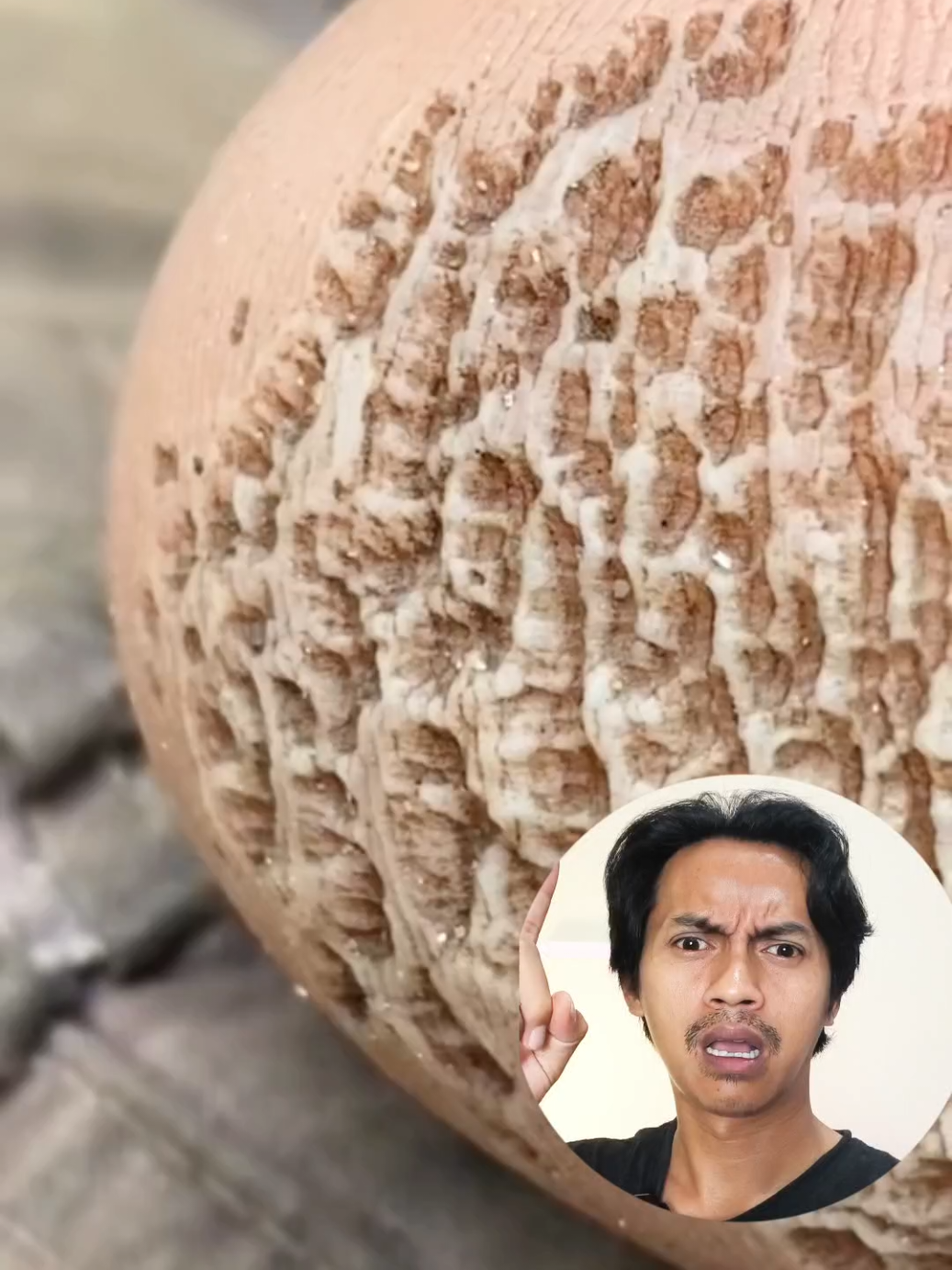 kaki rayapan minggat pake foot care cream ini  #krimkaki #kakirayapan #kakikering #kutuair #footcarecream 