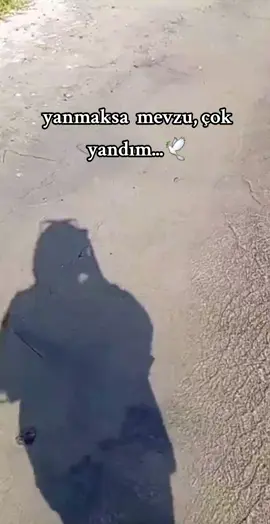 #🕊️ 